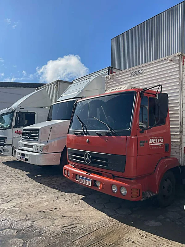 Transportadora para mudanças no Amazonas